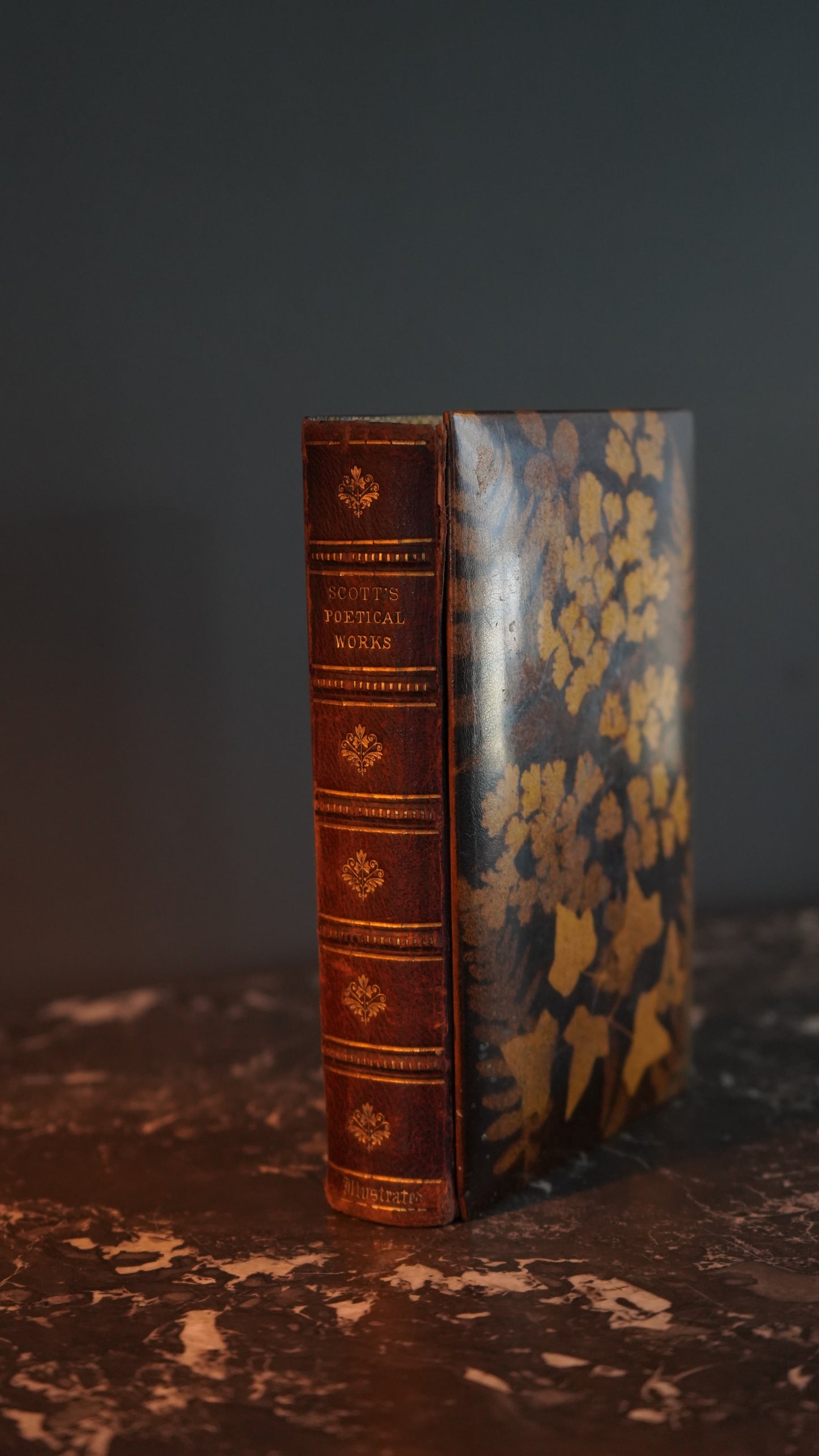 Mauchline Binding 1849 "The Poetical Works of Sir Walter Scott"