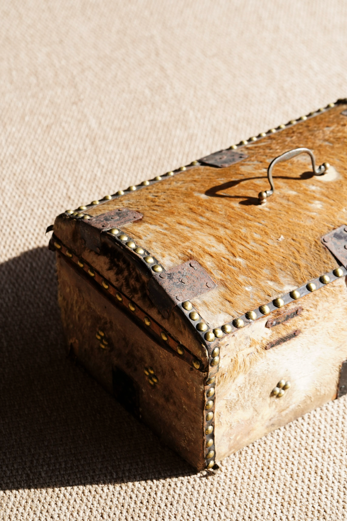 Antique English Hide Dome-Top Trunk, Barnard Castle