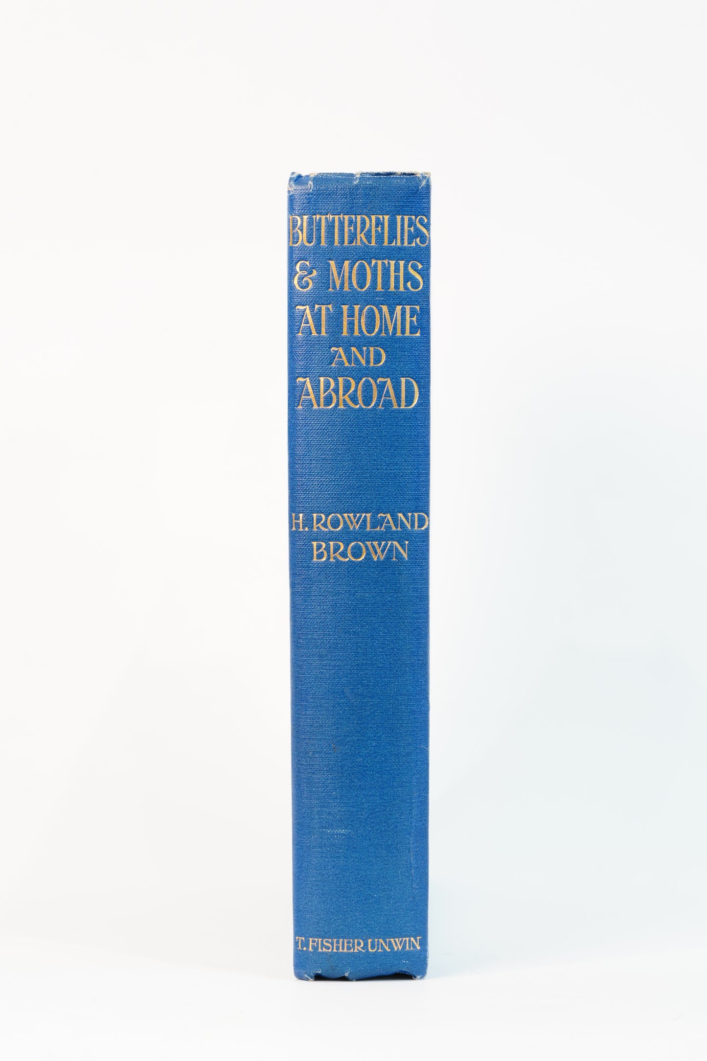 1912 H. Rowland Brown Butterflies and Moths at Home and Abroad