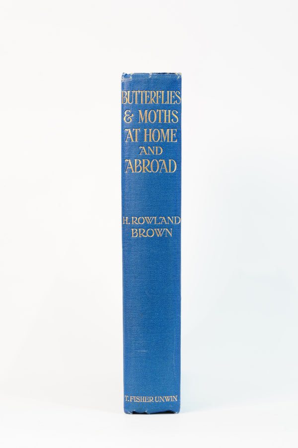1912 H. Rowland Brown Butterflies and Moths at Home and Abroad secondary view
