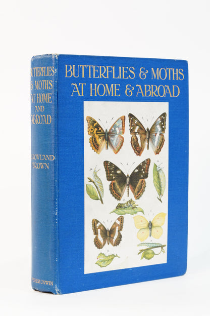 1912 H. Rowland Brown Butterflies and Moths at Home and Abroad