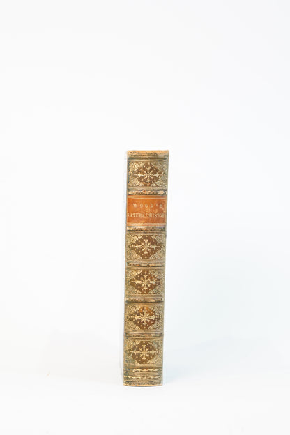 1877 Rev. J. G. Wood Natural History