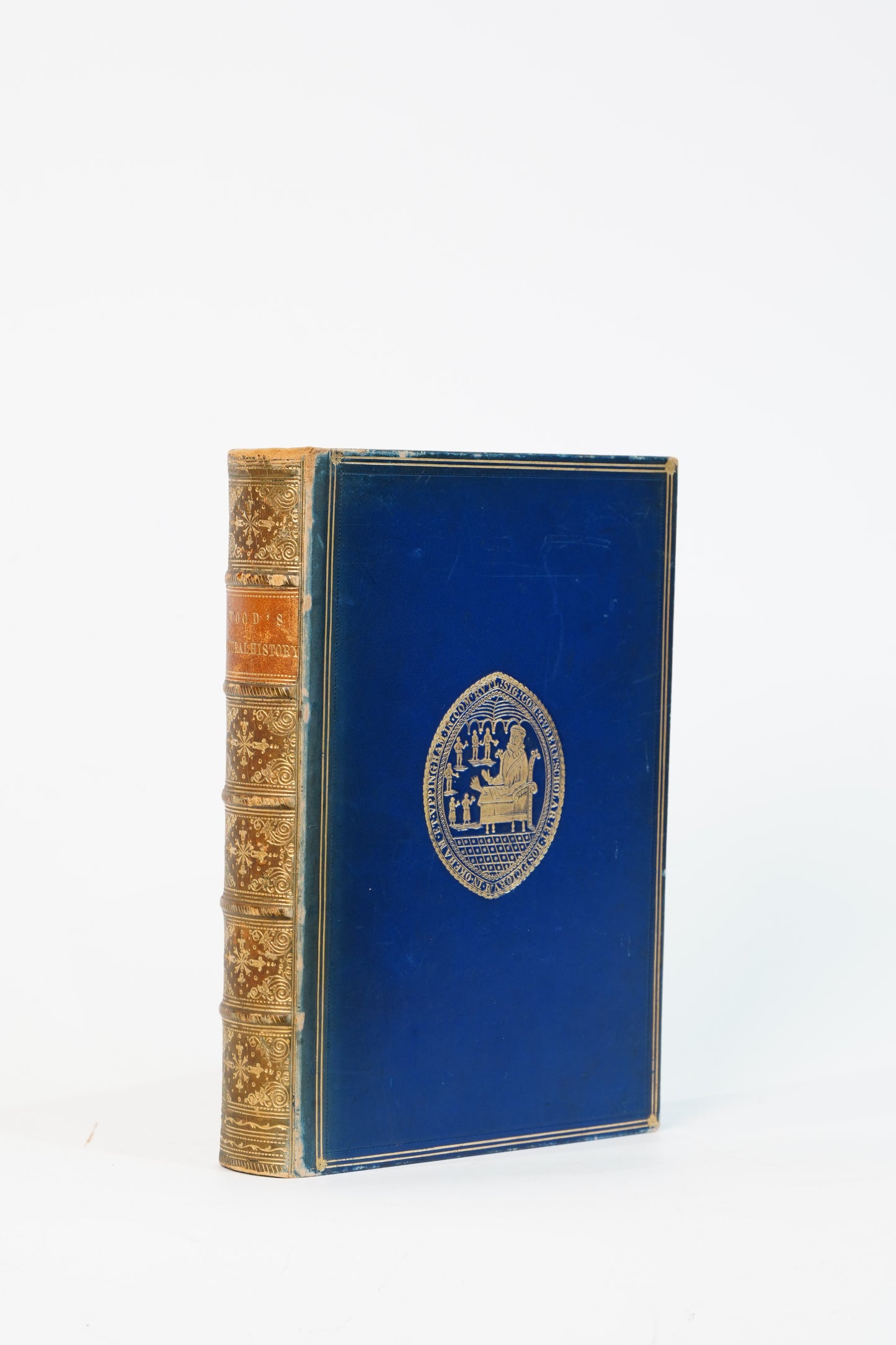 1877 Rev. J. G. Wood Natural History