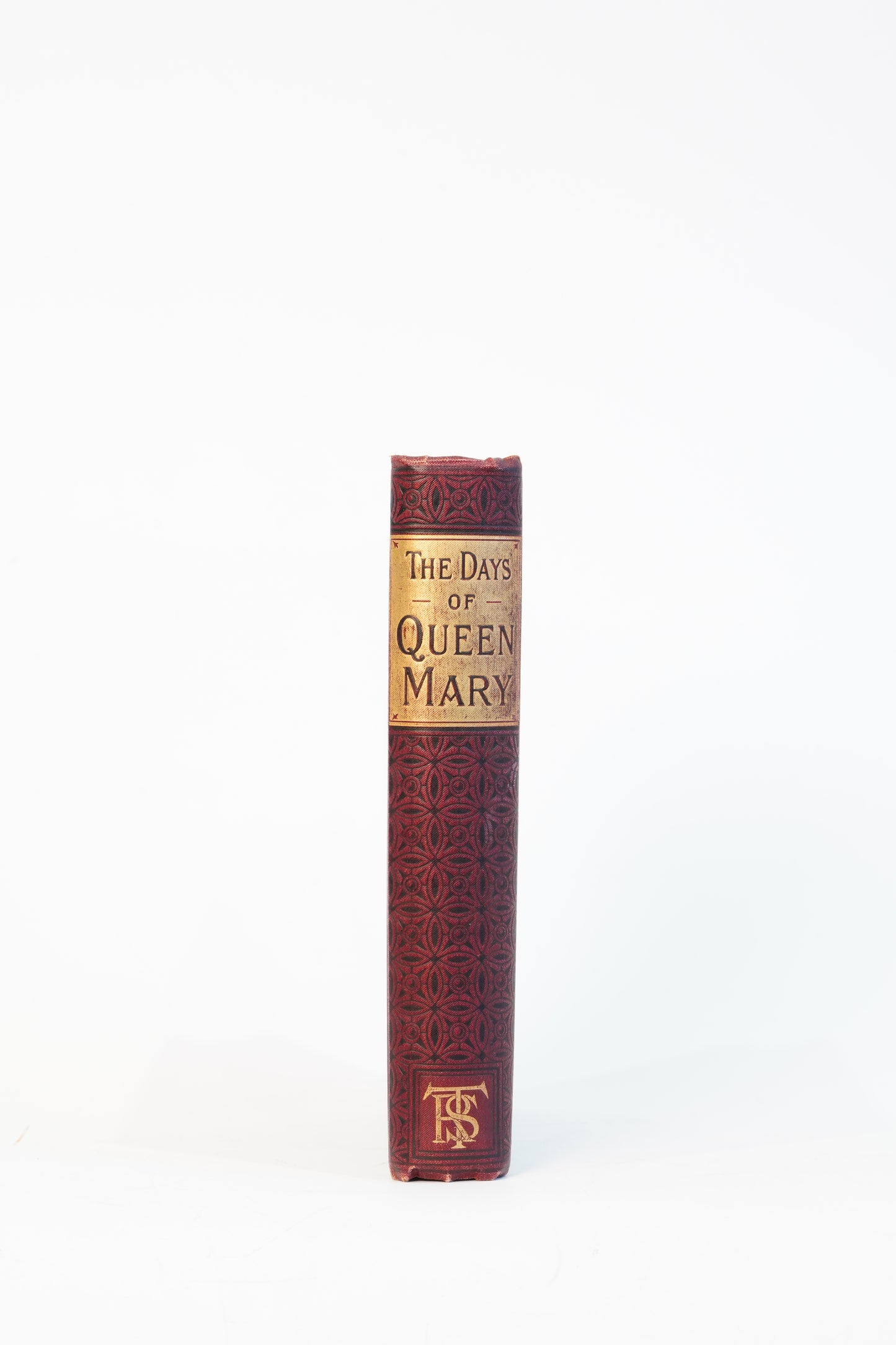 George Stokes The Days of Queen Mary