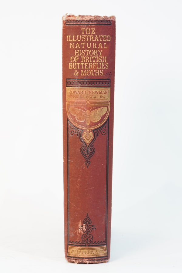 1875 Edward Newman British Butterflies and Moths secondary view