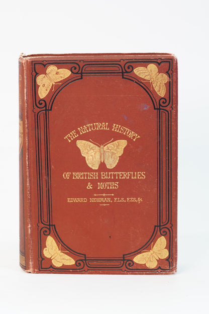 1875 Edward Newman British Butterflies and Moths