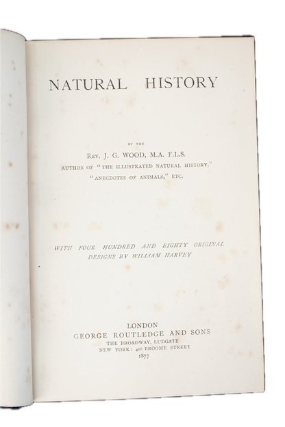 1877 Rev. J. G. Wood Natural History