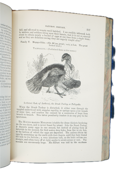 1877 Rev. J. G. Wood Natural History