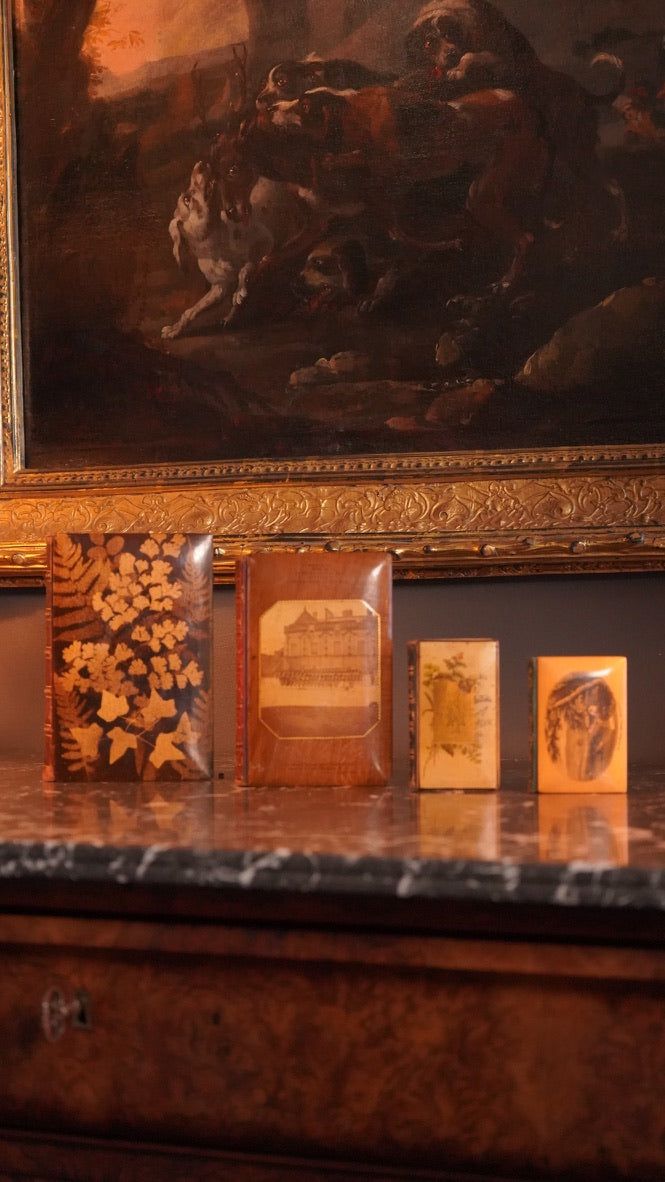 Mauchline Binding 1869 "The Lady of the Lake" by Sir Walter Scott