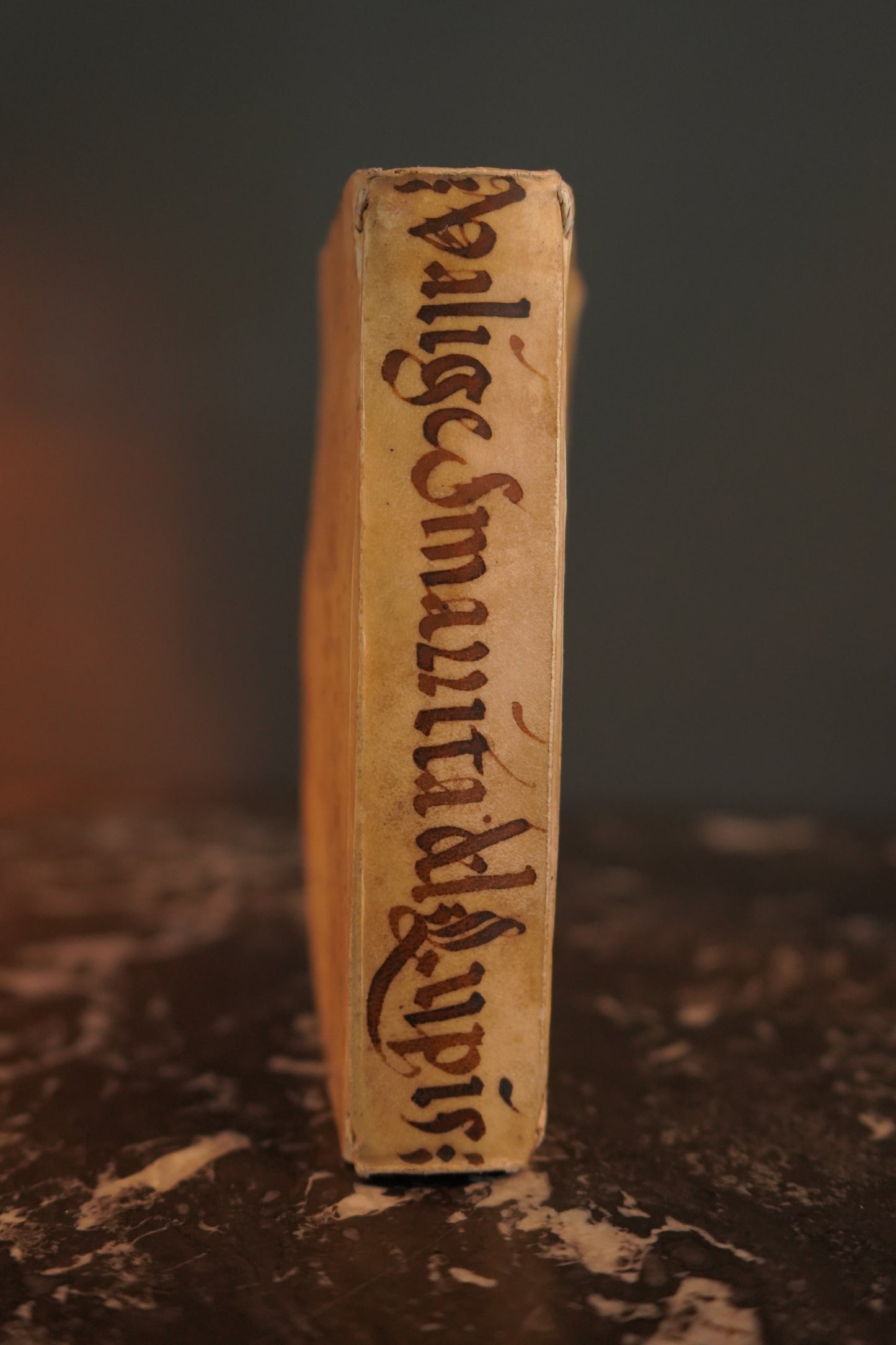 Miniature 1675 "La Valge Smarrita di antonio Lupis" Italian Vellum Book