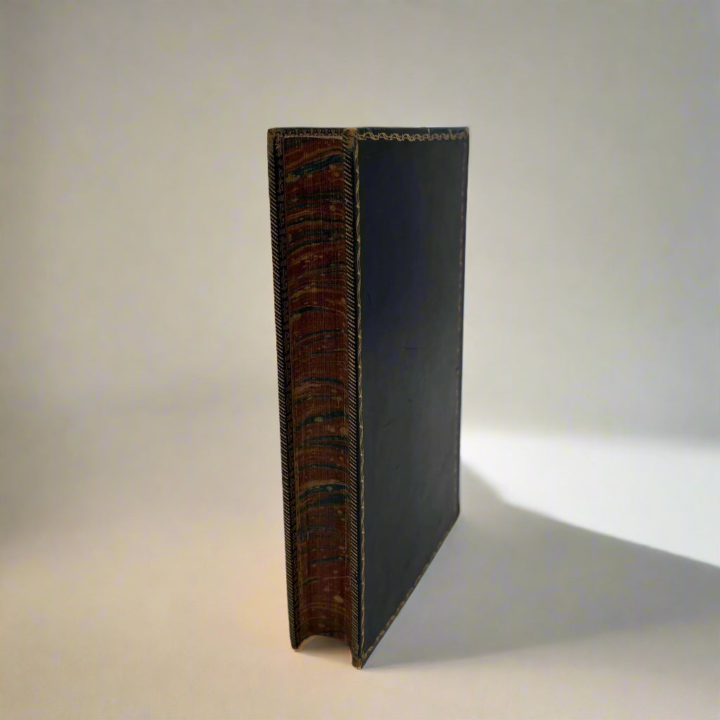 1892 Nature "Wonderful Nests" Blue Full Leather Prize Binding Book, Antique Bird Book
