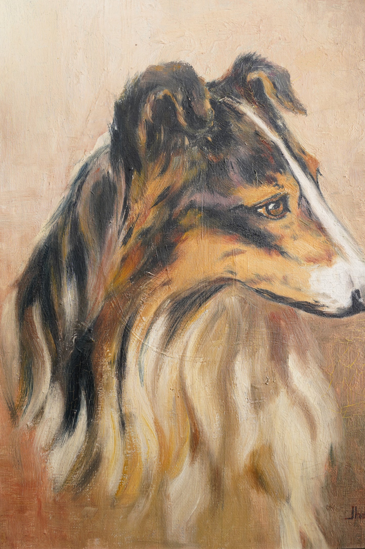 Vintage Signed Collie Dog Oil Painting, Dated 1936