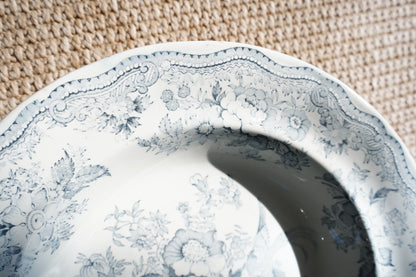 Antique Asiatic Pheasant Soup Plate, Wedgwood & Co.