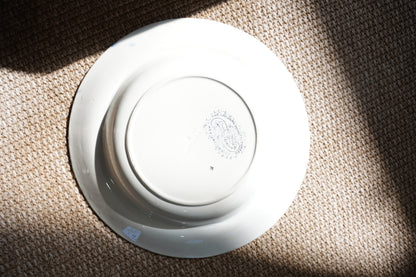 Antique Asiatic Pheasant Soup Plate, Wedgwood & Co.