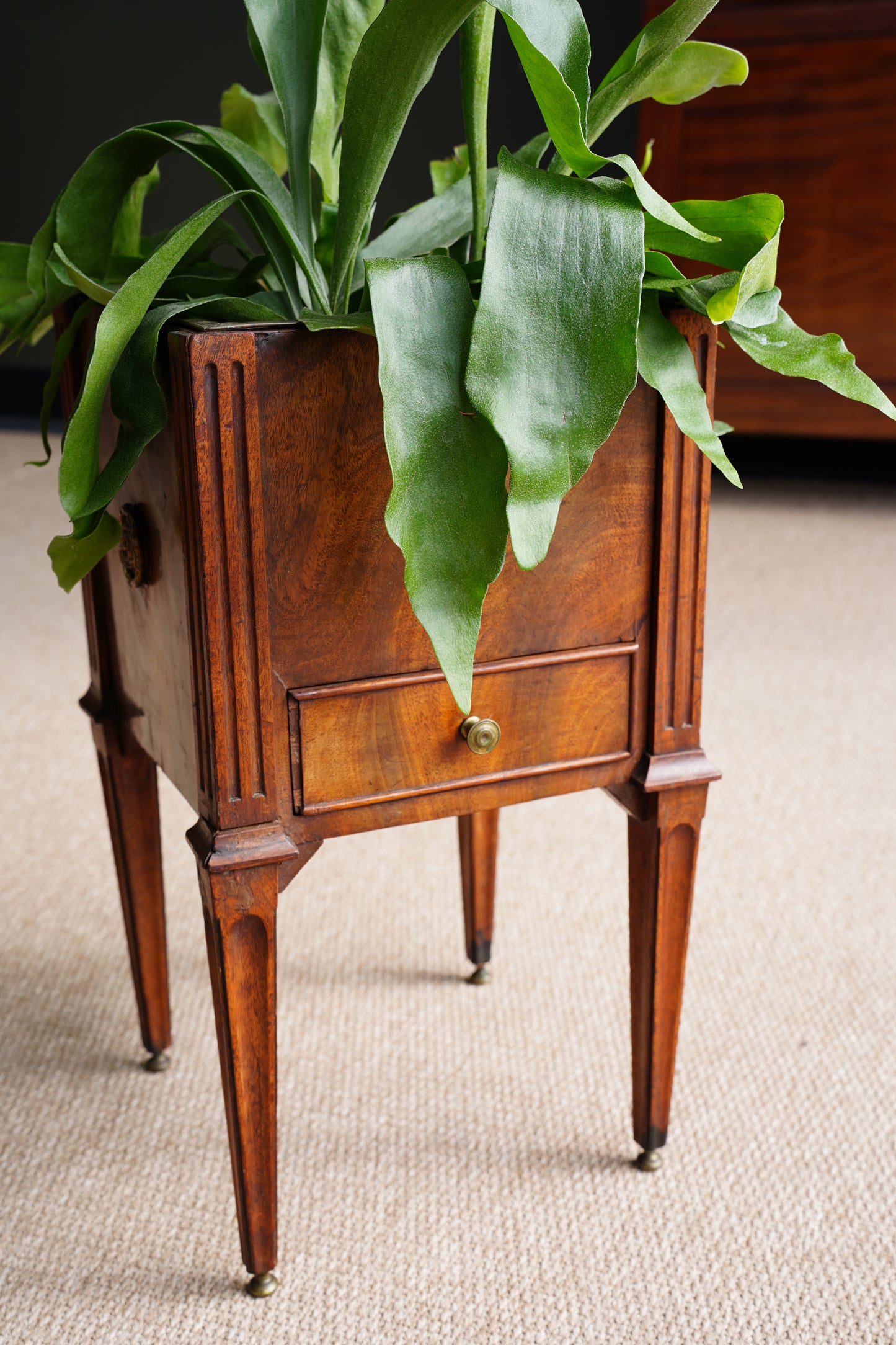 Antique Dutch Mahogany Plant Stand with Brass Liner