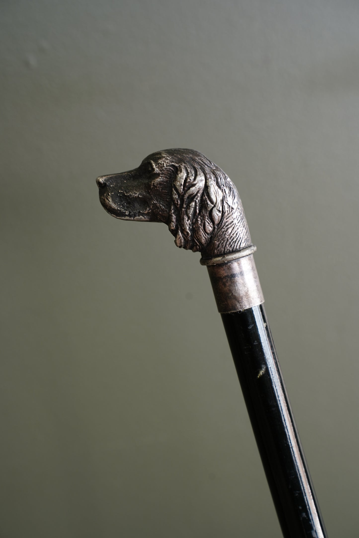 Antique Silver Dog Head Walking Cane, Setter, Circa 1900