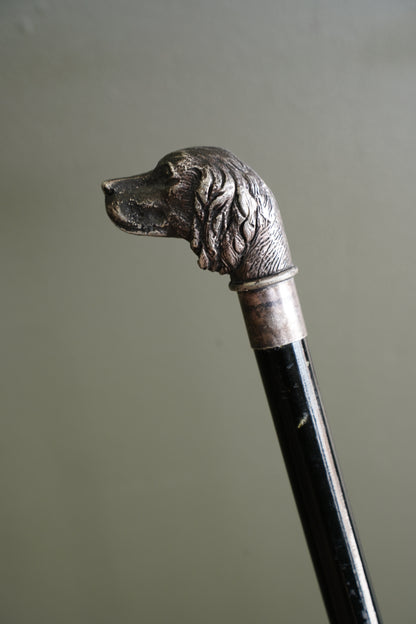 Antique Silver Dog Head Walking Cane, Setter, Circa 1900