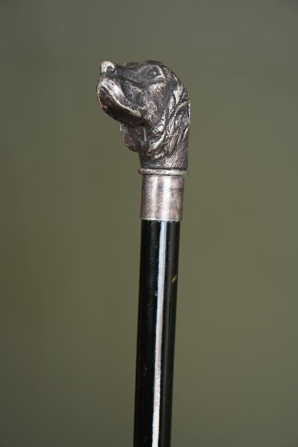 Antique Silver Dog Head Walking Cane, Setter, Circa 1900