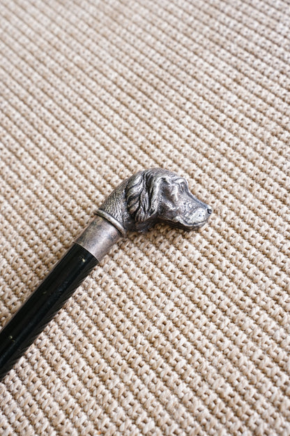 Antique Silver Dog Head Walking Cane, Setter, Circa 1900