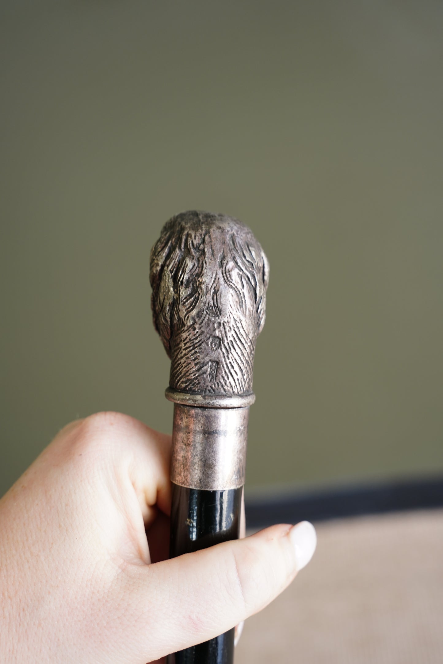Antique Silver Dog Head Walking Cane, Setter, Circa 1900