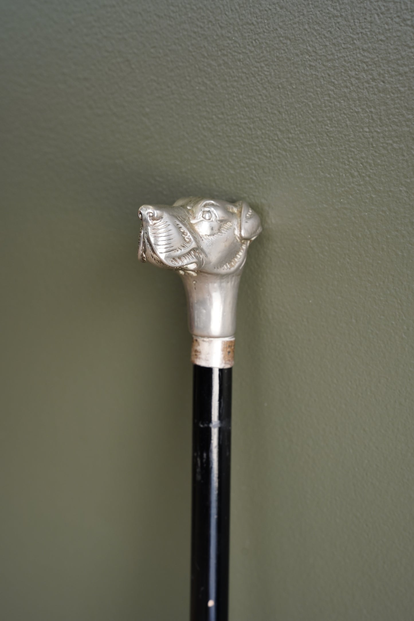 Antique Dog Head Walking Stick, Ebonized Shaft, Circa 1910