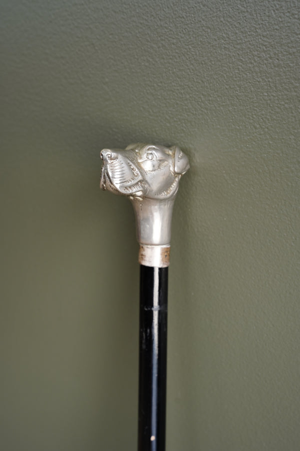 Antique Dog Head Walking Stick, Ebonized Shaft, Circa 1910 secondary view