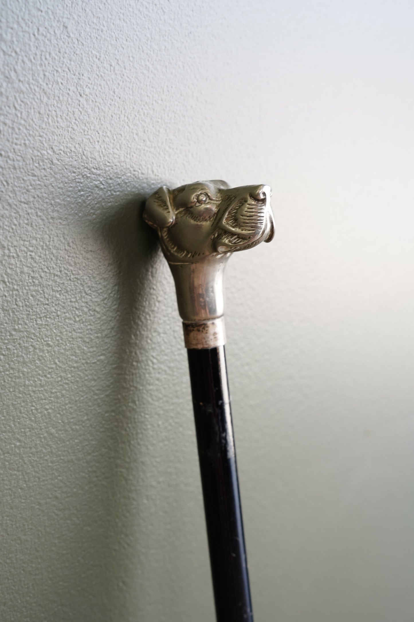 Antique Dog Head Walking Stick, Ebonized Shaft, Circa 1910