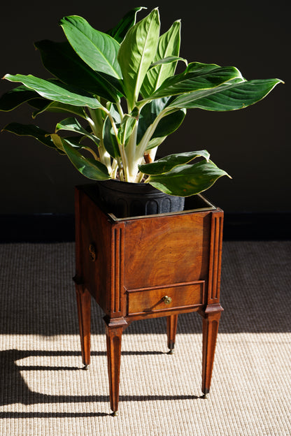 Antique Dutch Mahogany Plant Stand with Brass Liner