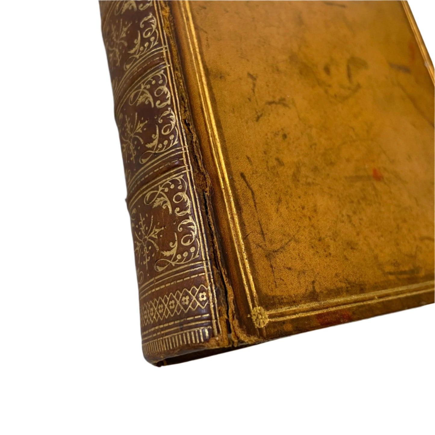 1889 "The Miscellaneous Writings and Speeches of Lord Macaulay" Full Caramel Brown Leather Book