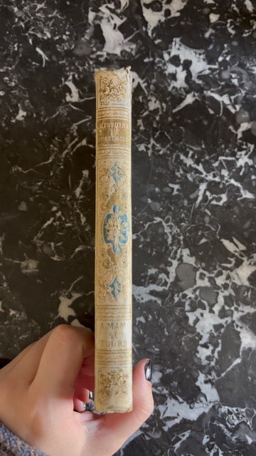 Antique French Prize Book with Blue and Gilt Embossed Binding | 1856 Histoire de Bertrand du Guesclin by Guyard de Berville