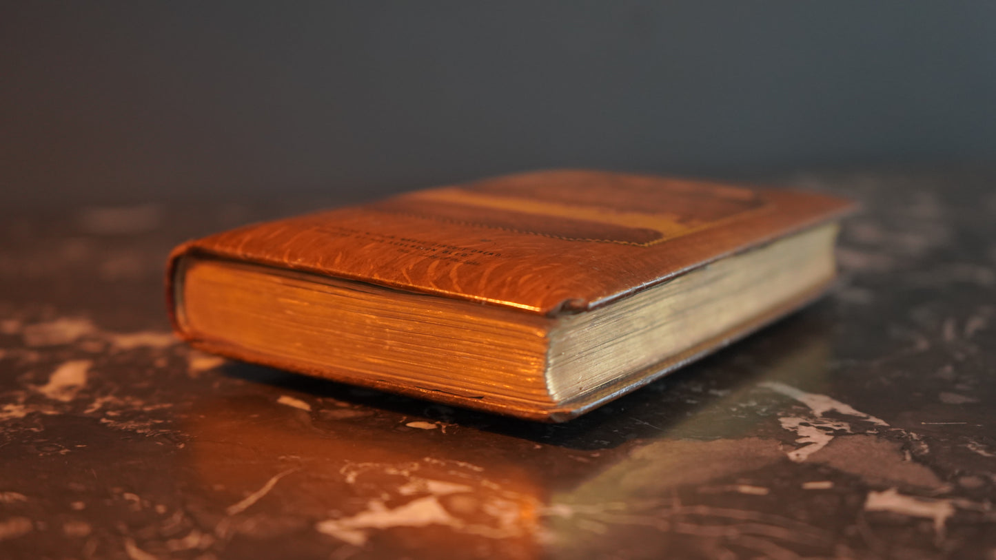 Mauchline Binding 1869 "The Lady of the Lake" by Sir Walter Scott