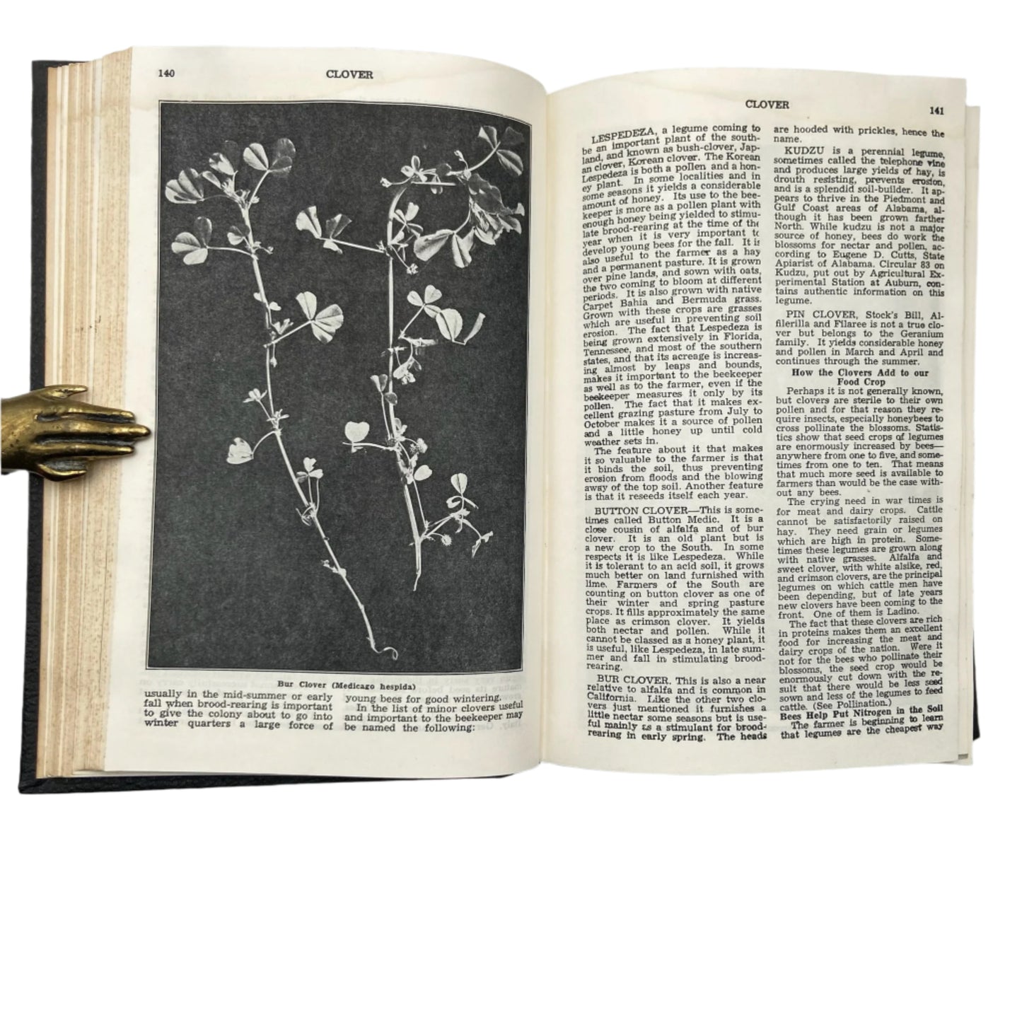 1948 "The ABC and XYZ of Bee Culture" Black Full Leather Book