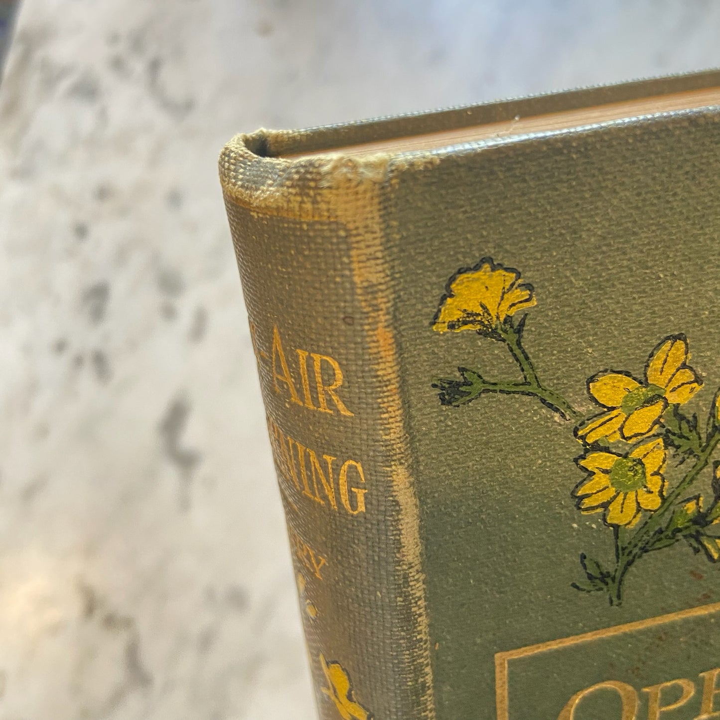 Victorian "Open Air Gardening: The Culture of Hearty Flowers, Fruits, Vegetables" Nature Green Cloth Book