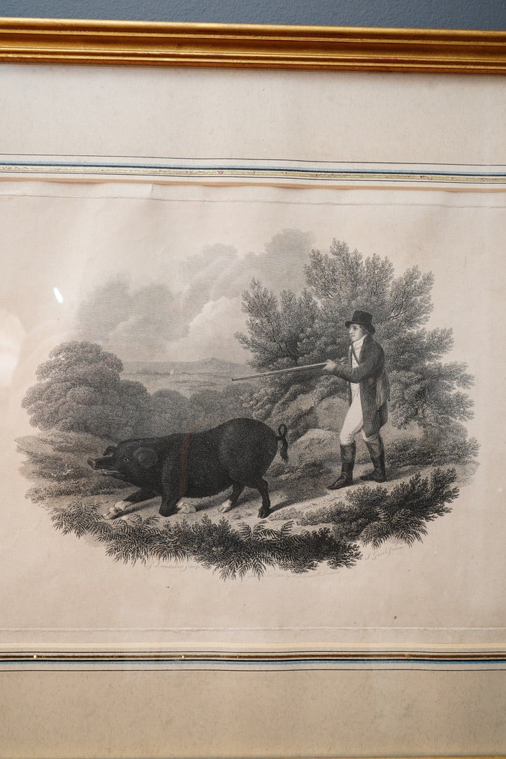 19th-Century Hand-Colored Engraving: Boar Hunting Scene, Circa 1870