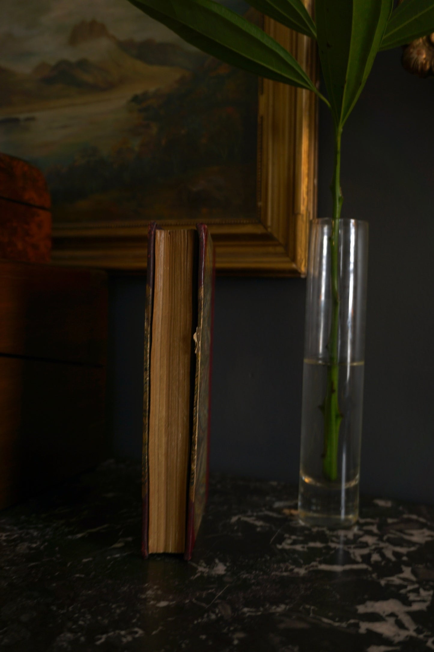 1809 "The Catspaw: A Comedy in Five Acts" Red Half Leather Book