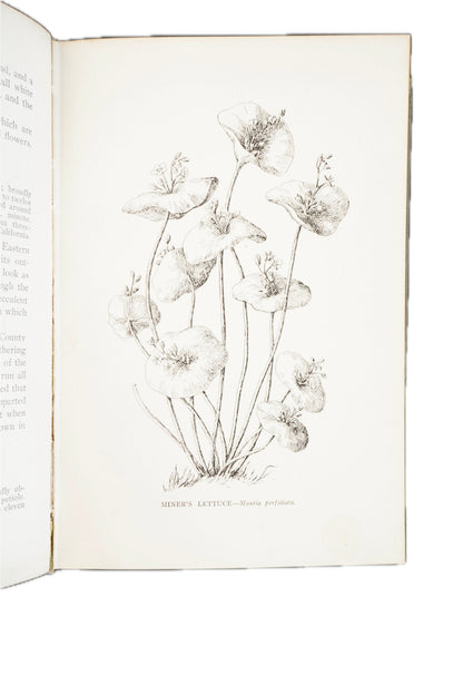 1909 Mary Elizabeth Parsons The Wild Flowers of California