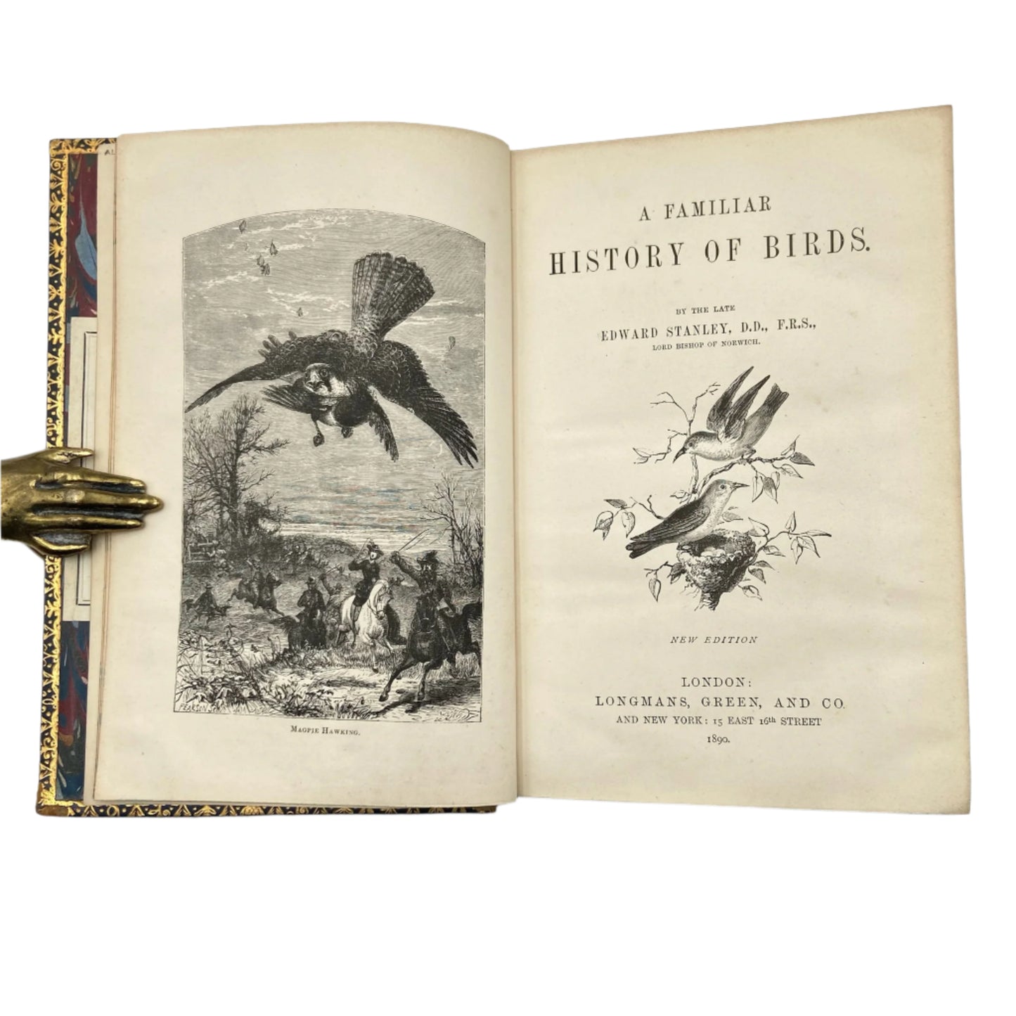 Antique Bird Book A Familiar History of Birds Victorian Prize Binding Blue Leather 1890s Illustrated Natural History