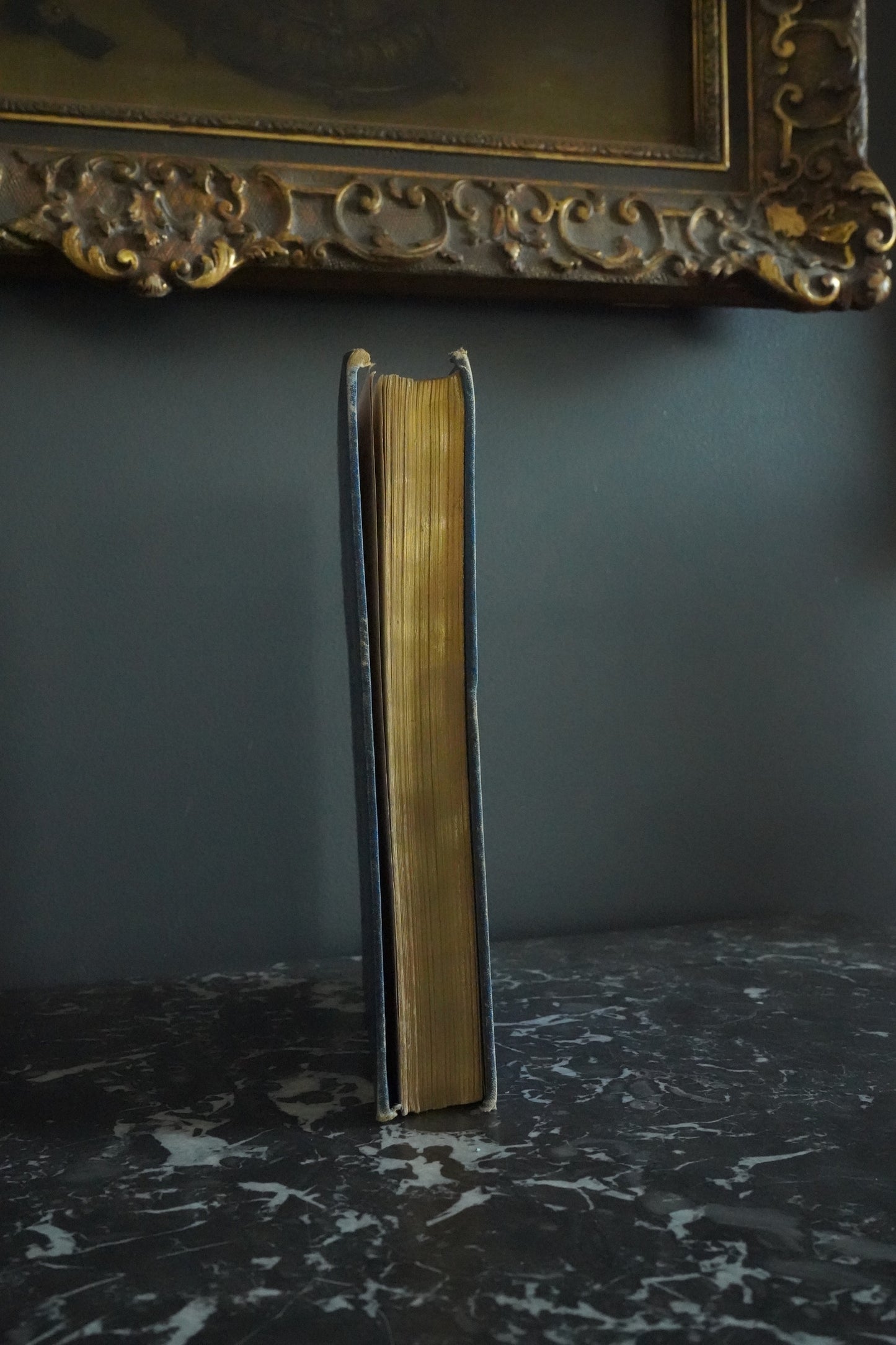 Circa 1870-1880 "Stories About Birds" Dark Blue Cloth Book