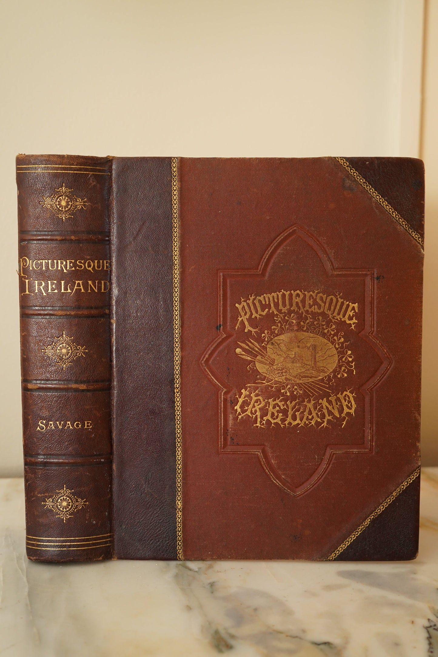 1884 Picturesque Ireland by John Savage | Illustrated Victorian Leather-Bound Book