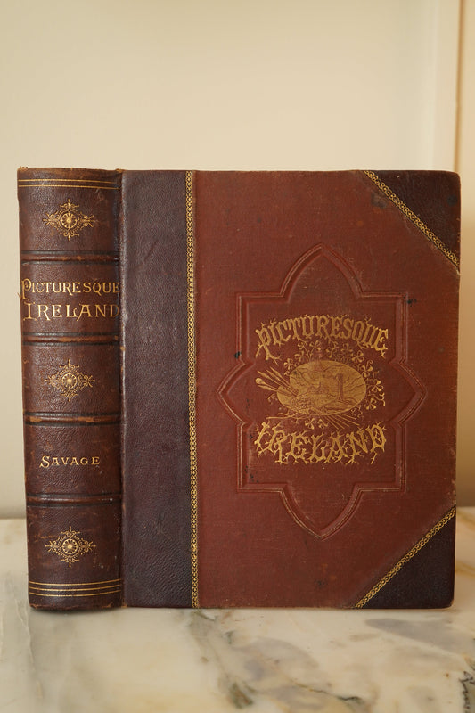 1884 Picturesque Ireland by John Savage | Illustrated Victorian Leather-Bound Book