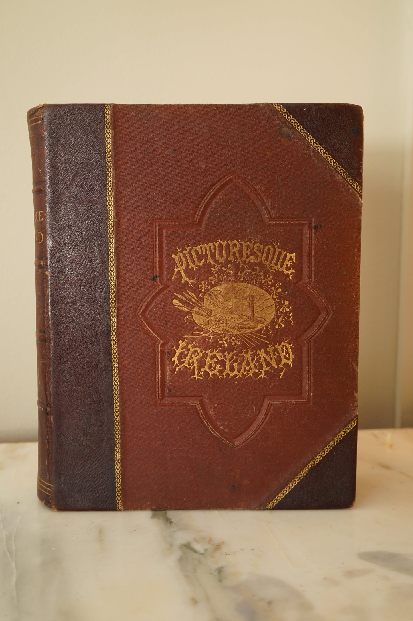 1884 Picturesque Ireland by John Savage | Illustrated Victorian Leather-Bound Book