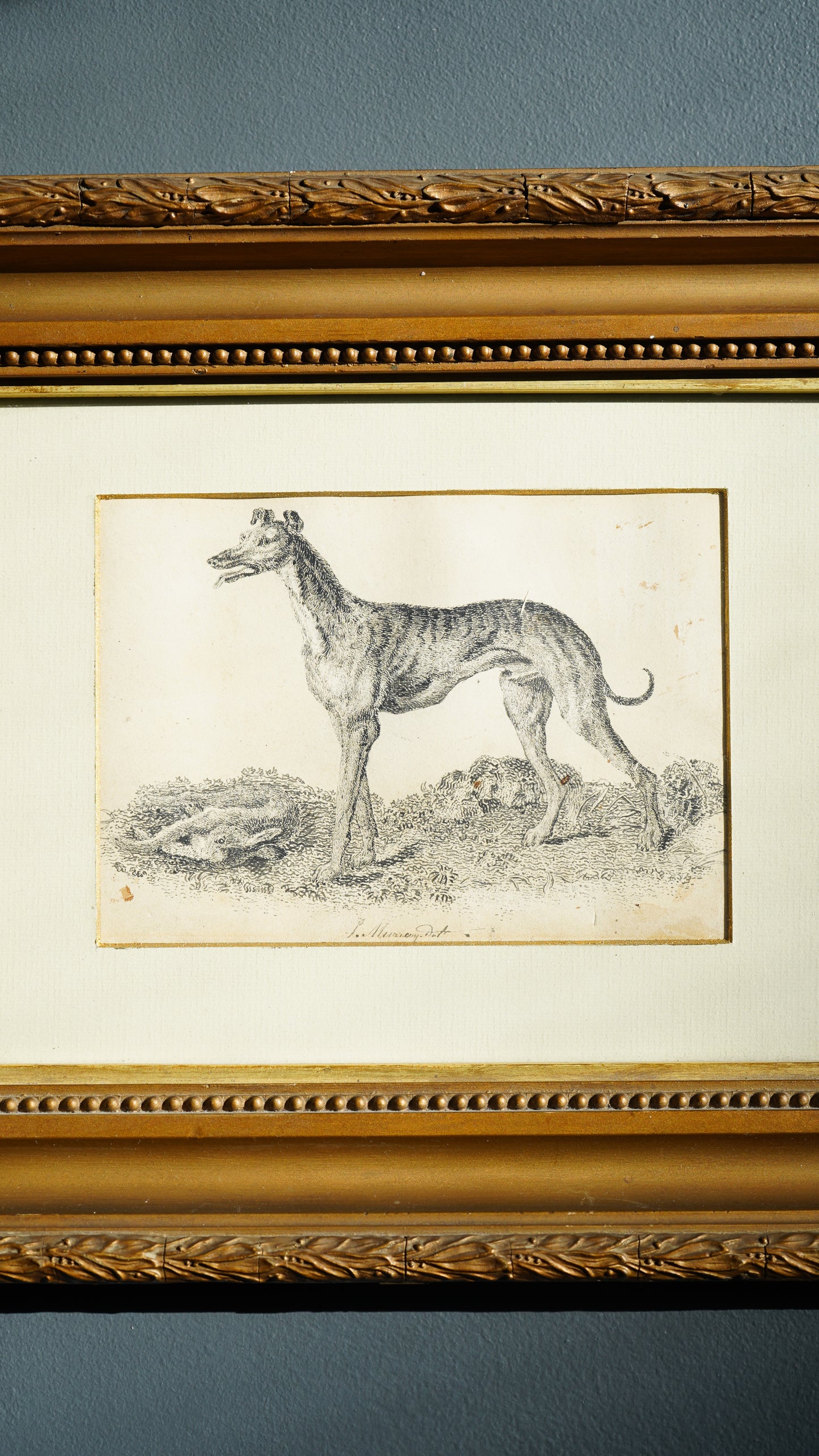 18th-Century British Sporting Etching of a Greyhound | After P. Murray, Delt.