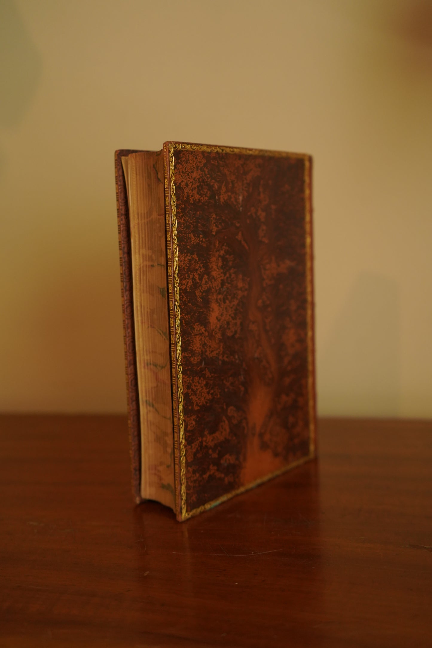 Hereward the Wake by Charles Kingsley, 1912 Historical Novel in Fine Tree Calf Binding with Illustrations