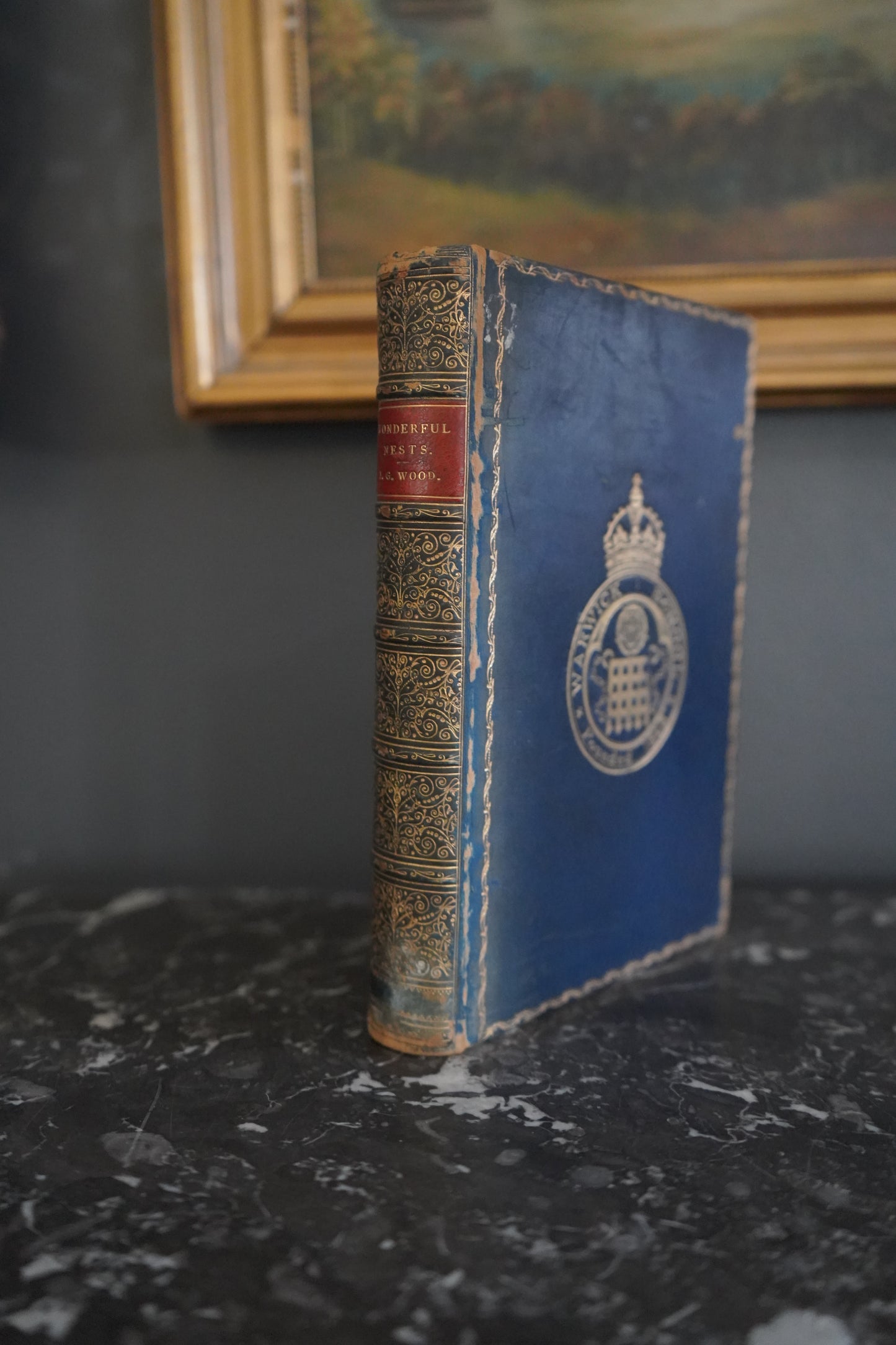 1892 Nature "Wonderful Nests" Blue Full Leather Prize Binding Book, Antique Bird Book