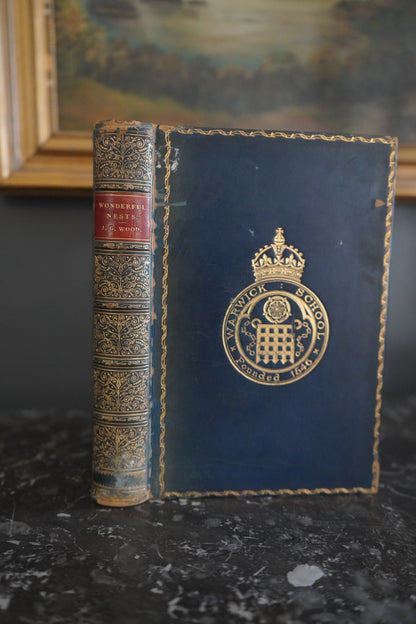 1892 Wonderful Nests, Victorian Natural History Bird Book