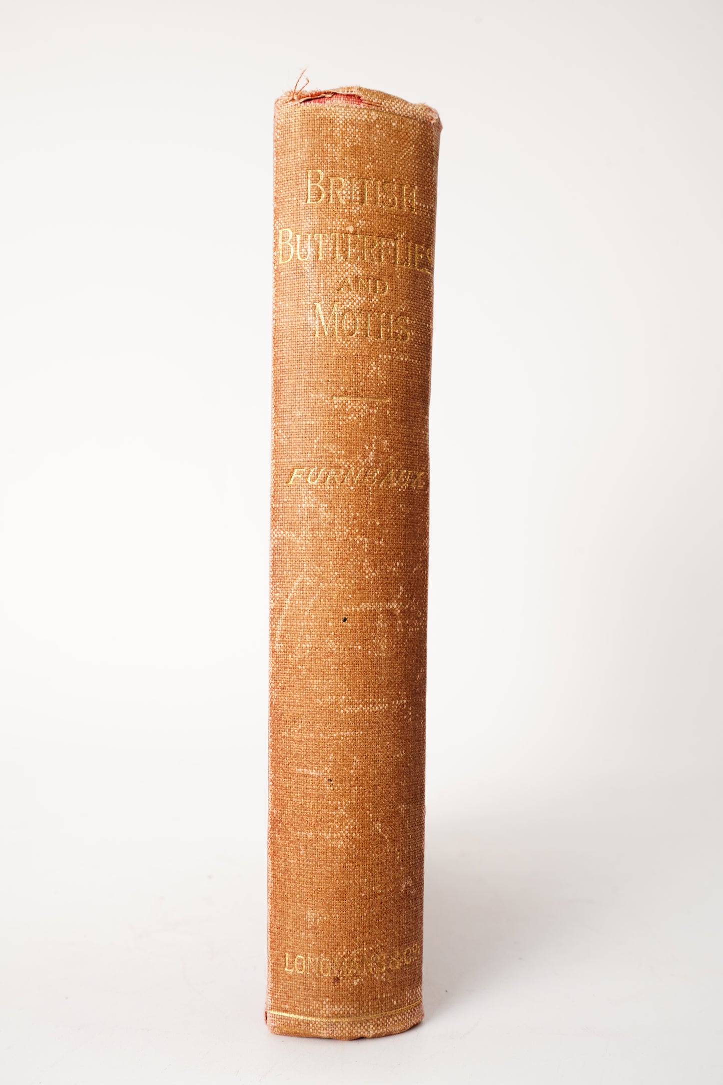 1897 British Butterflies and Moths Natural History Cloth Book
