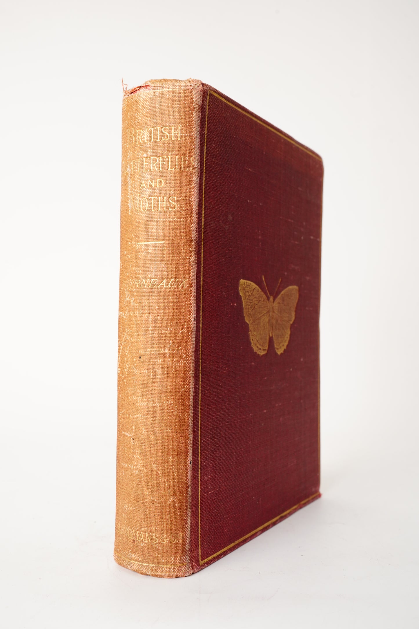 1897 British Butterflies and Moths Natural History Cloth Book