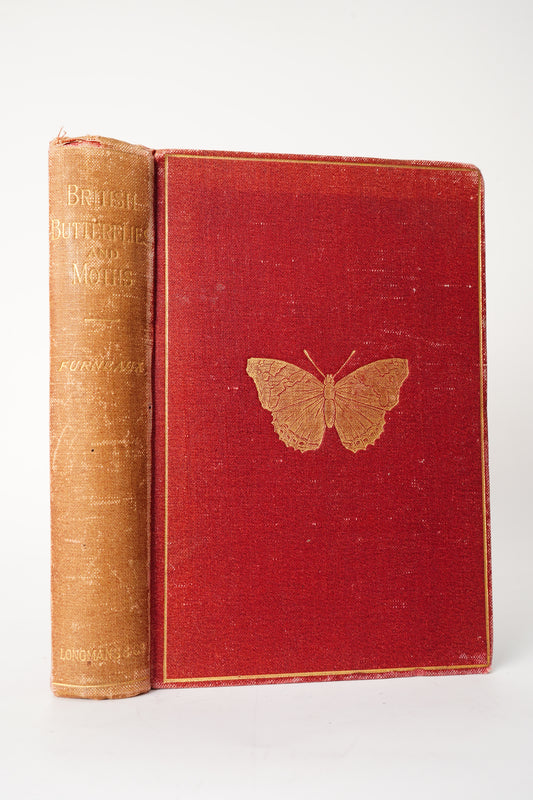 1897 British Butterflies and Moths Natural History Cloth Book