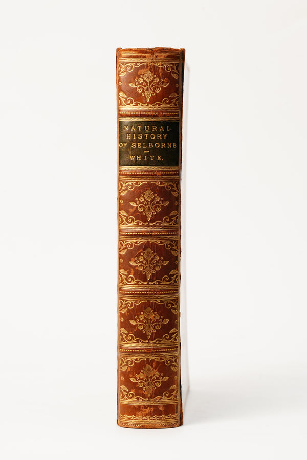 1883 Natural History and Antiquities of Selborne secondary view