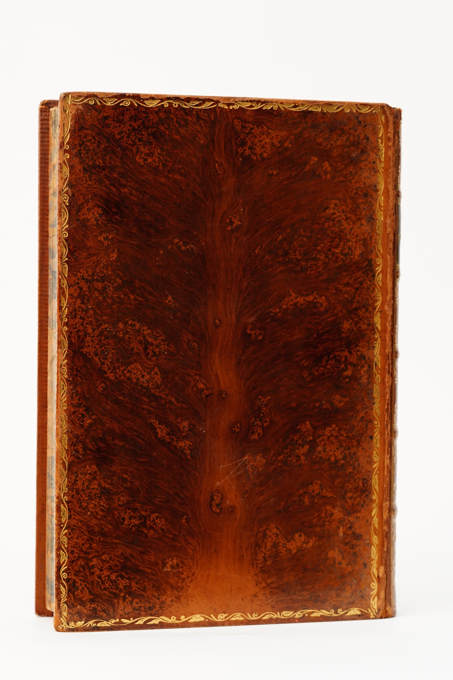 1883 Natural History and Antiquities of Selborne